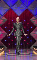 Guest Judge Look