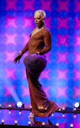 Nightlife Extravaganza Look (Reveal) – Studio 54