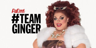 #TeamGinger Banner