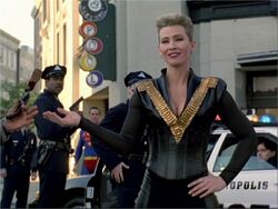 Vixen stopping crime