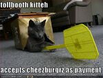 Tollbooth-cat-will-accept-burger-payment