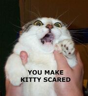 Scaredkitty