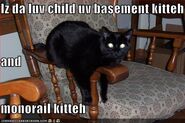 BasementKittehChild