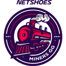 Netshoes Minerslogo profile.png