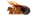 Moscow Meteorslogo std.png