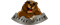 Little Bearlogo std