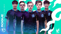 Rogue's 2019 LEC Spring Roster