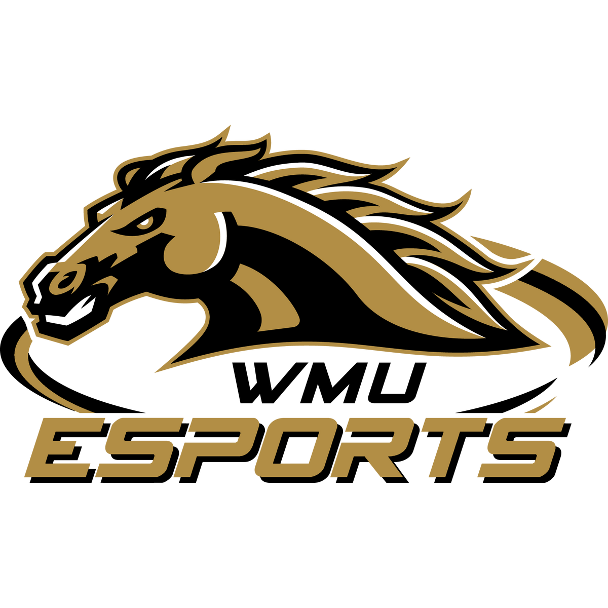 Western Michigan University Leaguepedia League Of Legends Esports Wiki
