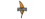 Naguara Teamlogo std