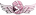 Callisto (Taiwanese Team)logo std.png