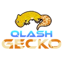 QLASH Geckologo square