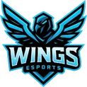 Wings (Brazilian Team)logo square
