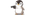 Bigouinoilogo std.png