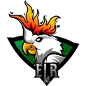 ELR Gaminglogo square