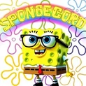 Spongecord primelogo square