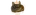 Happy Kittenslogo std