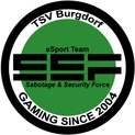 SSF Frostlogo square