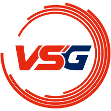 VSG (Korean Team)logo square.png