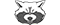 Racoons Gießenlogo std