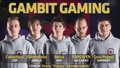 Gambit Gaming 2015 LCS Summer Roster