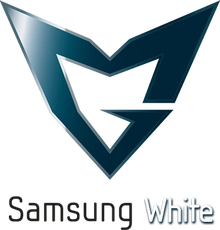 Samsung White Logo