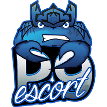 ESCORT P9 Logo