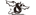 Shadow Creamlogo std.png