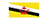 Brunei (National Team)logo std