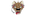 Se Loco Cachorreiralogo std.png