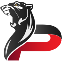 PANTHERS Gaminglogo square