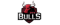GTZ Bullslogo std.png