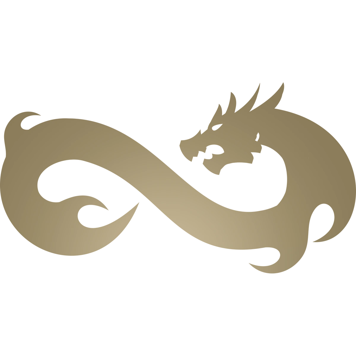 Eternal cs. Интернал фаер кс. команда eternal fire кс. eternal fire кс го. eternal fire логотип.