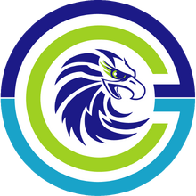 Cyberground Gaming Leaguepedia League Of Legends Esports Wiki