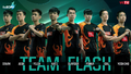 Team Flash's 2020 VCS Spring Roster