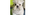 Team E Turnerlogo std.png