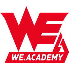 Team WE Academy Logo