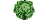 Grey Cabbagelogo std