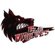 Elite Wolves Logo