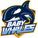 Baby Whaleslogo square