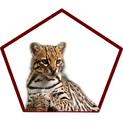 Faker Hunterzlogo square