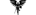 Falleo's Angelslogo std