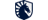 Team Liquidlogo std
