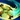 BoomerangBlade