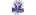 Neon's Rebirthlogo std.png