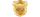 E8 WINlogo std.png