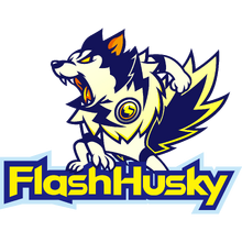 Flash Husky Logo