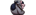 4 Swines & A Bumlogo std