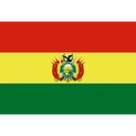 Bolivia (National Team)logo square