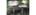 Mushrooms hunterslogo std