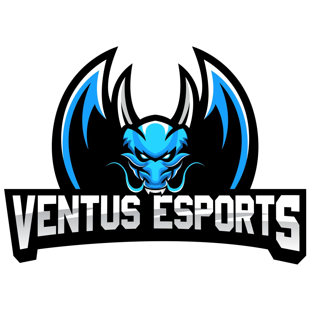 [閒聊] 請問有VT的粉絲嗎？